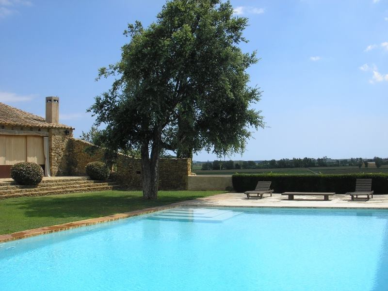 Piscina clara con árbol y vistas
