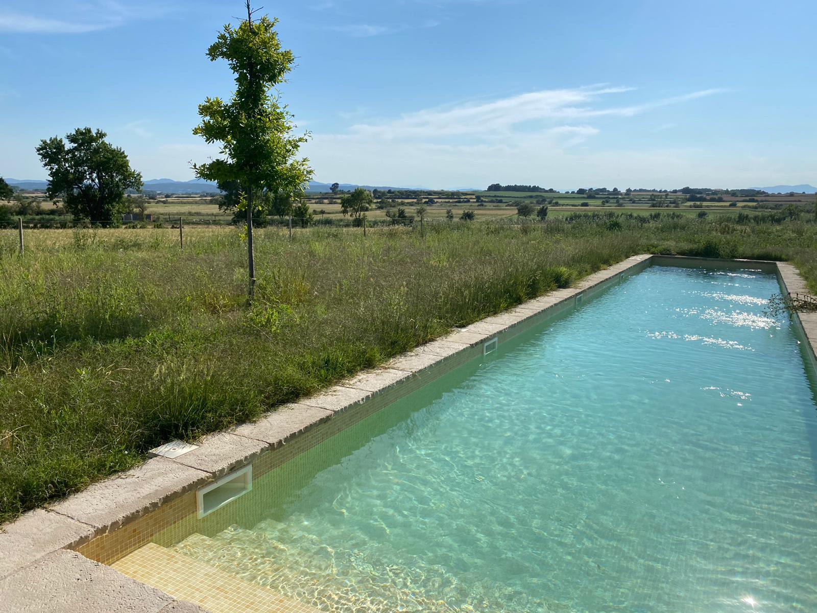 Skimmer pool